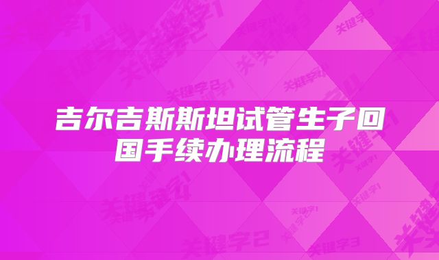 吉尔吉斯斯坦试管生子回国手续办理流程