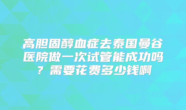 高胆固醇血症去泰国曼谷医院做一次试管能成功吗？需要花费多少钱啊
