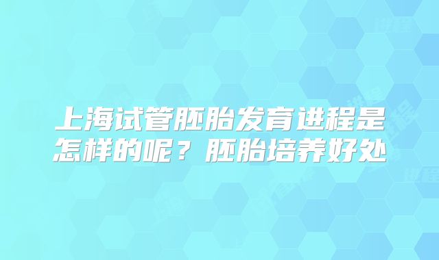 上海试管胚胎发育进程是怎样的呢?胚胎培养好处