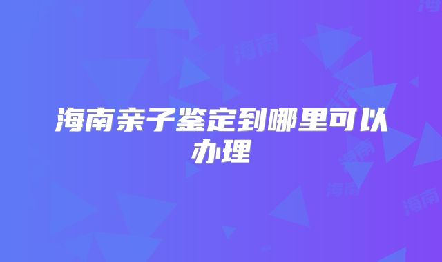 海南亲子鉴定到哪里可以办理