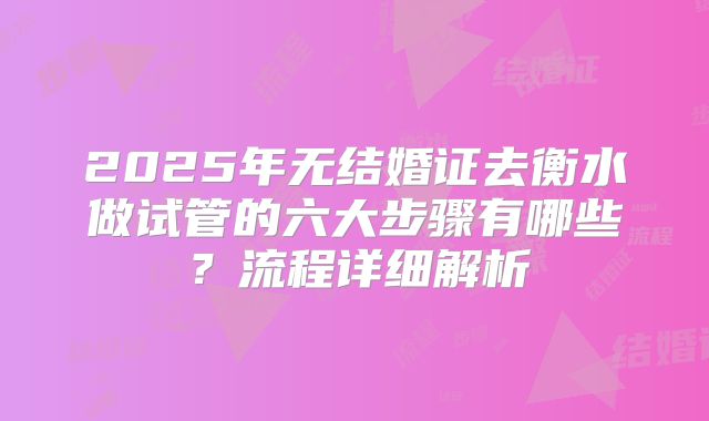2025年无结婚证去衡水做试管的六大步骤有哪些？流程详细解析