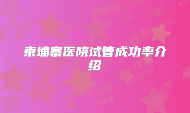 柬埔寨医院试管成功率介绍