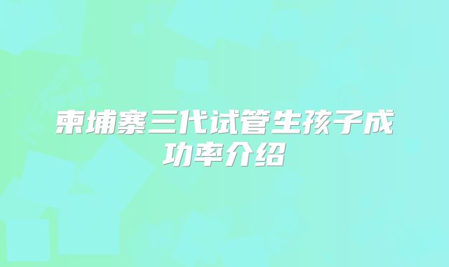 柬埔寨三代试管生孩子成功率介绍