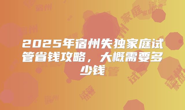 2025年宿州失独家庭试管省钱攻略，大概需要多少钱