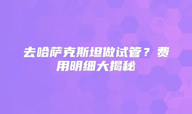 去哈萨克斯坦做试管？费用明细大揭秘