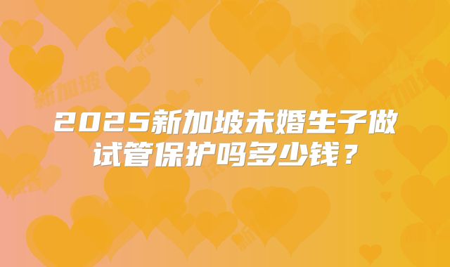2025新加坡未婚生子做试管保护吗多少钱?
