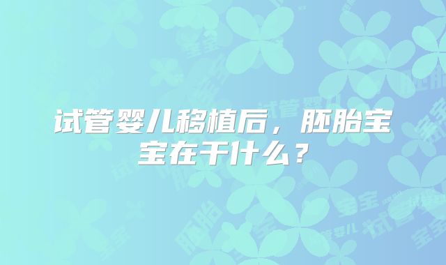 试管婴儿移植后，胚胎宝宝在干什么？