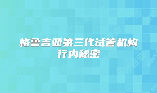 格鲁吉亚第三代试管机构行内秘密