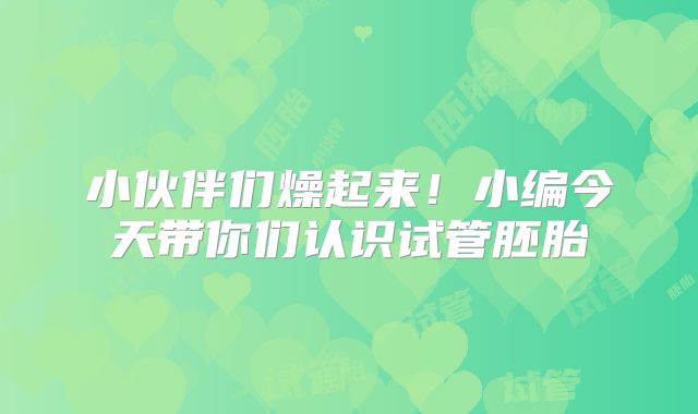 小伙伴们燥起来!小编今天带你们认识试管胚胎