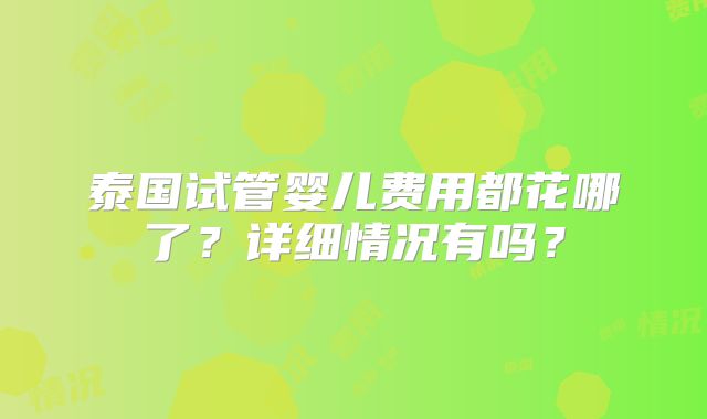 泰国试管婴儿费用都花哪了？详细情况有吗？