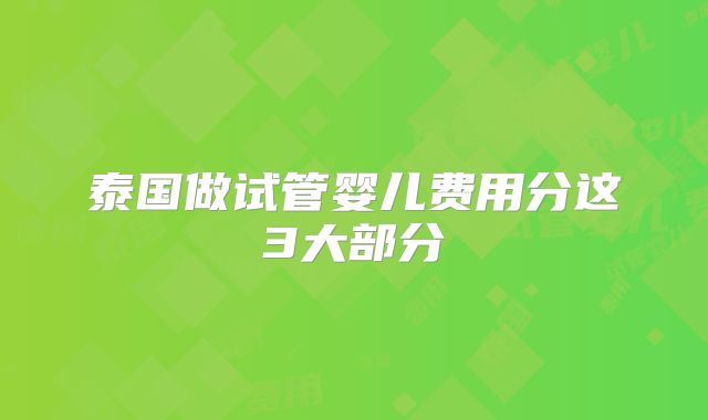 泰国做试管婴儿费用分这3大部分