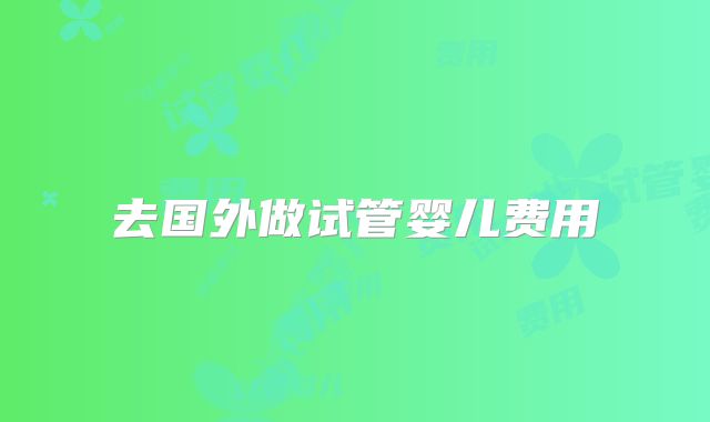 去国外做试管婴儿费用