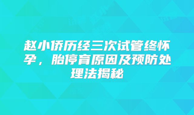 赵小侨历经三次试管终怀孕，胎停育原因及预防处理法揭秘