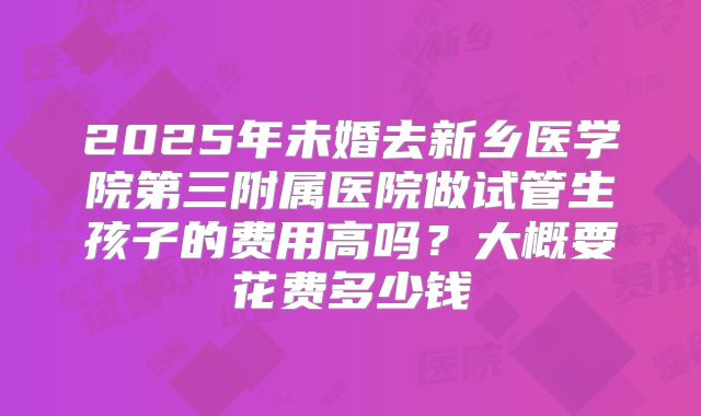 2025年未婚去新乡医学院第三附属医院做试管生孩子的费用高吗？大概要花费多少钱