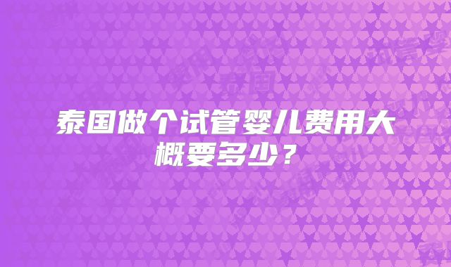 泰国做个试管婴儿费用大概要多少？
