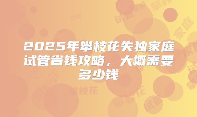 2025年攀枝花失独家庭试管省钱攻略,大概需要多少钱