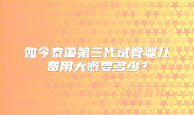 如今泰国第三代试管婴儿费用大概要多少?