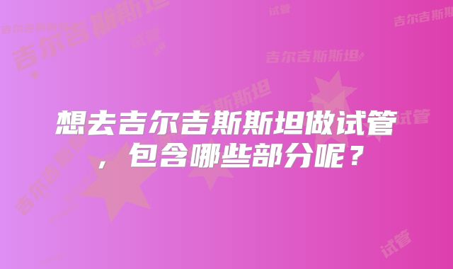 想去吉尔吉斯斯坦做试管,包含哪些部分呢?
