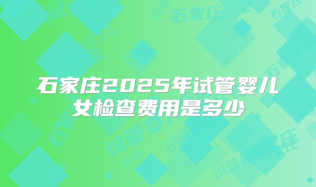 石家庄2025年试管婴儿女检查费用是多少