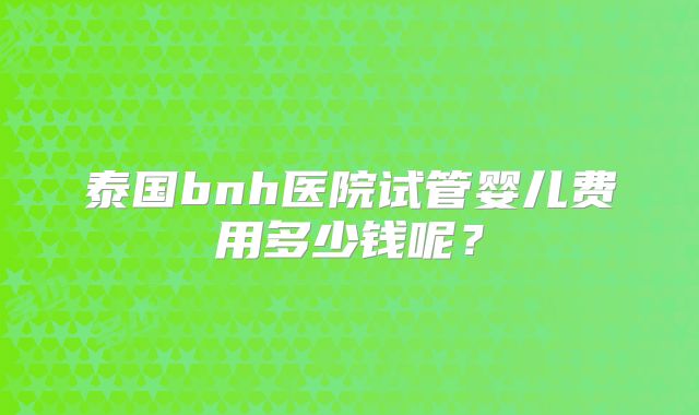 泰国bnh医院试管婴儿费用多少钱呢？