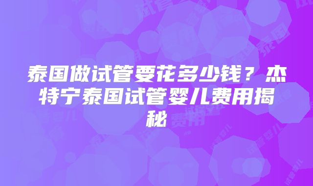 泰国做试管要花多少钱？杰特宁泰国试管婴儿费用揭秘