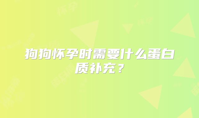 狗狗怀孕时需要什么蛋白质补充？