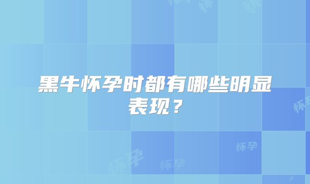 黑牛怀孕时都有哪些明显表现？