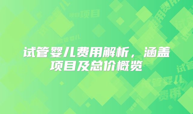 试管婴儿费用解析,涵盖项目及总价概览