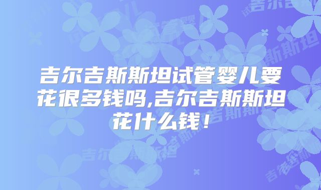 吉尔吉斯斯坦试管婴儿要花很多钱吗,吉尔吉斯斯坦花什么钱！