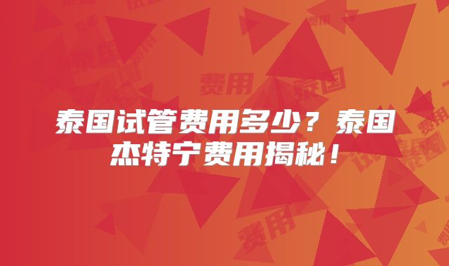 泰国试管费用多少？泰国杰特宁费用揭秘！