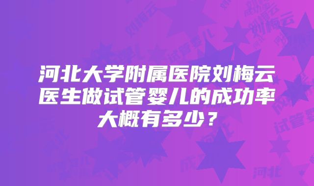 河北大学附属医院刘梅云医生做试管婴儿的成功率大概有多少？