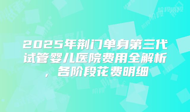 2025年荆门单身第三代试管婴儿医院费用全解析，各阶段花费明细