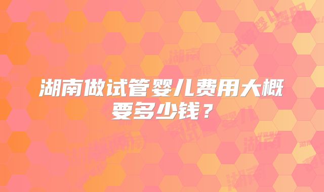湖南做试管婴儿费用大概要多少钱？