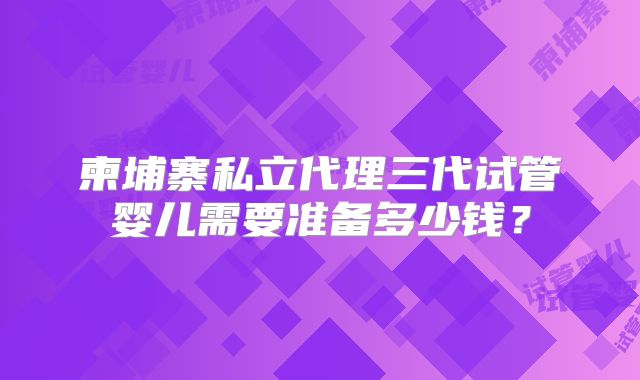 柬埔寨私立代理三代试管婴儿需要准备多少钱?