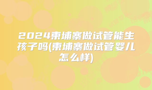 2024柬埔寨做试管能生孩子吗(柬埔寨做试管婴儿怎么样)