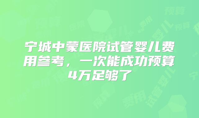 宁城中蒙医院试管婴儿费用参考,一次能成功预算4万足够了
