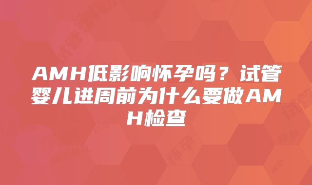 AMH低影响怀孕吗？试管婴儿进周前为什么要做AMH检查