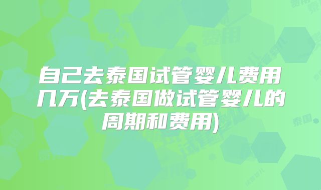 自己去泰国试管婴儿费用几万(去泰国做试管婴儿的周期和费用)