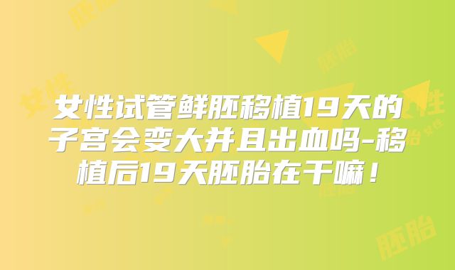 女性试管鲜胚移植19天的子宫会变大并且出血吗-移植后19天胚胎在干嘛！