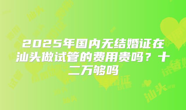 2025年国内无结婚证在汕头做试管的费用贵吗?十二万够吗