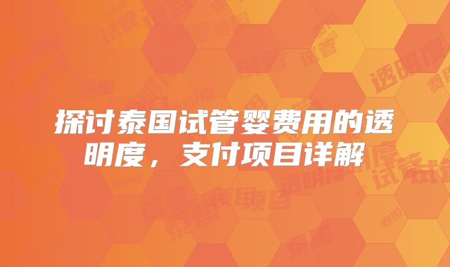 探讨泰国试管婴费用的透明度，支付项目详解