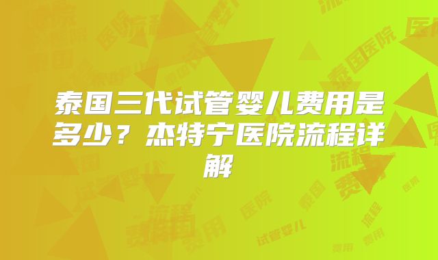 泰国三代试管婴儿费用是多少？杰特宁医院流程详解