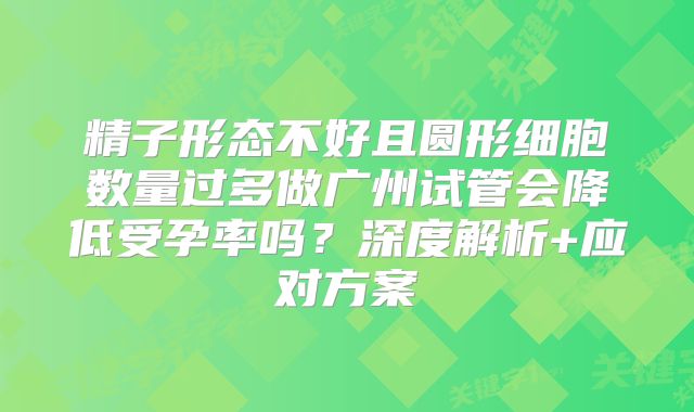 精子形态不好且圆形细胞数量过多做广州试管会降低受孕率吗？深度解析+应对方案