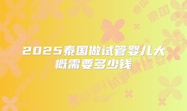 2025泰国做试管婴儿大概需要多少钱