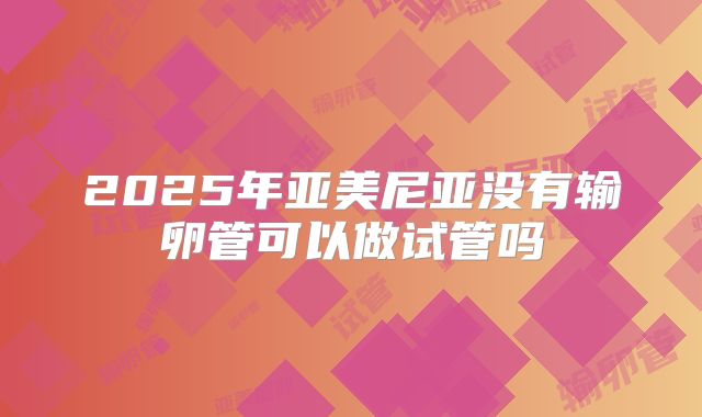 2025年亚美尼亚没有输卵管可以做试管吗