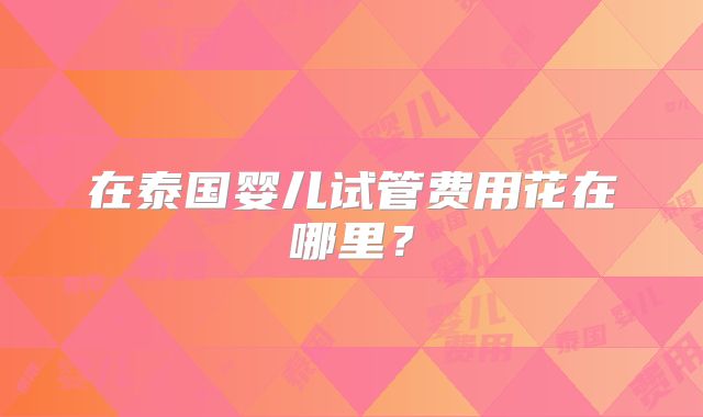 在泰国婴儿试管费用花在哪里?
