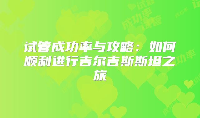 试管成功率与攻略：如何顺利进行吉尔吉斯斯坦之旅