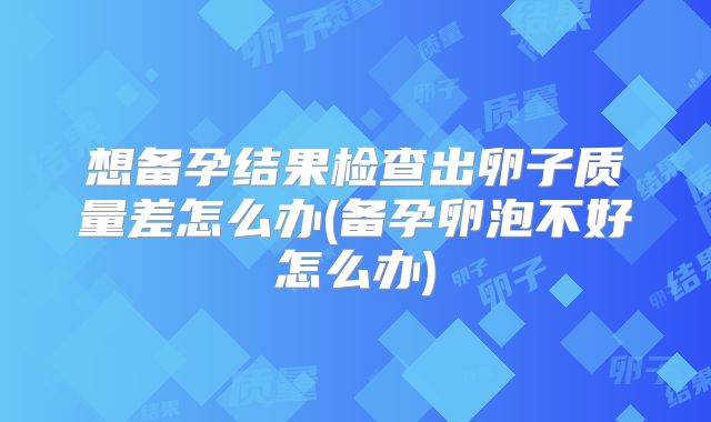 想备孕结果检查出卵子质量差怎么办(备孕卵泡不好怎么办)