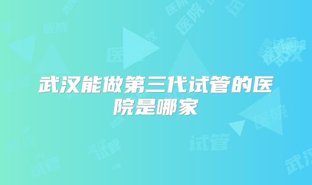武汉能做第三代试管的医院是哪家