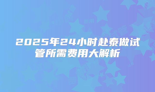 2025年24小时赴泰做试管所需费用大解析